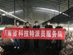 香菇平菇已賣1.2萬公斤！漯河醫(yī)專助力幫扶村很得力 ()
