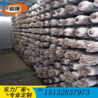 江西省綠色蘑菇網(wǎng)片 現(xiàn)代化大棚出菇網(wǎng)格架 食用菌規(guī)?；B(yǎng)殖架