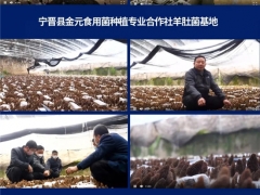 超1.78萬人次，3400條留言！2020第五屆全國羊肚菌大會圓滿結(jié)束 ()