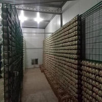 食用菌網(wǎng)架a濟(jì)南食用菌網(wǎng)架a食用菌網(wǎng)架廠家現(xiàn)貨