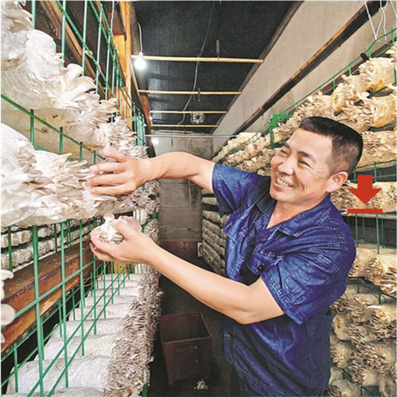 食用菌架 愛(ài)采購(gòu)