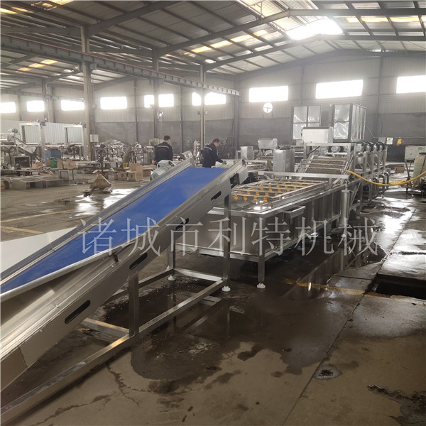 玉米粒清洗機(jī) (3)