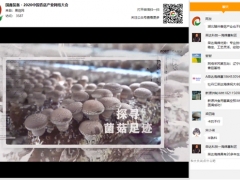 新技術(shù) 新格局 新形式：國鑫裝備·2020中國香菇產(chǎn)業(yè)網(wǎng)絡(luò)大會(huì)圓滿召開 ()