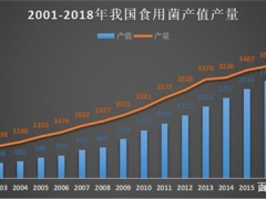 食用菌市場研究：主導(dǎo)全球70%產(chǎn)量的食用菌，工業(yè)化種植卻不足10% ()