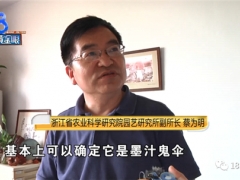 “墻角長蘑菇嚇哭女業(yè)主”后續(xù)：國家級(jí)菌菇專家?guī)阕呓茖W(xué) ()