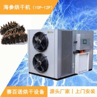 環(huán)保衛(wèi)生的海參冷風(fēng)烘干房 低溫海參烘干機除濕機