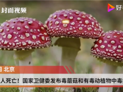 已造成6人死亡！國家衛(wèi)健委發(fā)布毒蘑菇和有毒動植物中毒提示 ()