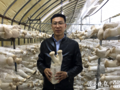 學(xué)機械的種起了蘑菇，膠州小伙跨界創(chuàng)業(yè)年產(chǎn)值三千多萬出口多國 ()