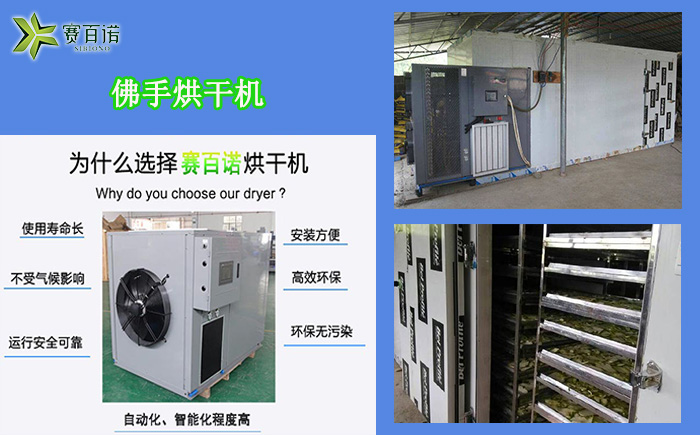 廣東佛手烘干機(jī)