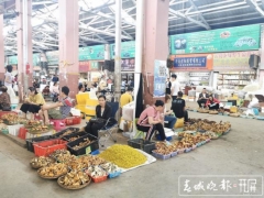 為菌瘋狂的時(shí)候到了！昆明野生菌大量上市 干巴菌最低300元/公斤 ()