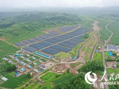 人民網(wǎng)："小木耳"如何做成"大產(chǎn)業(yè)"——專(zhuān)訪(fǎng)中國(guó)工程院院士李玉 ()