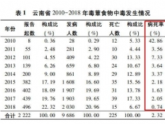 云南人嘗鮮見(jiàn)手青蘑菇能看到小精靈？這不好玩 還很?chē)?yán)重 ()