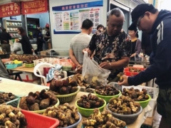 云南野生菌大量上市，松茸、雞樅供不應(yīng)求！中毒現(xiàn)象也層出不窮 ()