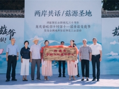龍泉龍南鄉(xiāng)：以香菇為契，助推美麗城鎮(zhèn)“產(chǎn)業(yè)美”建設(shè) ()