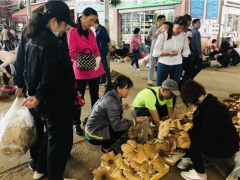 吃菌要抓緊，快落潮啦！昆明野生菌價(jià)格上漲 雞樅干巴菌最多 ()