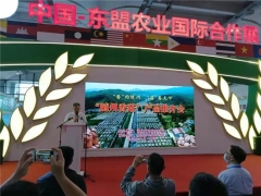 “隨州香菇”登上中國(guó)-東盟國(guó)際合作大舞臺(tái) ()