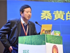 戴玉成：所有桑黃種類(lèi)都具有增強(qiáng)免疫力等功能 ()