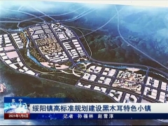 東寧綏陽：高標準規(guī)劃建設黑木耳特色小鎮(zhèn) ()