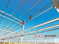甘肅臨澤縣食用菌工廠化栽培生產(chǎn)車間加緊建設 ()