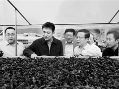山西：中陽黑木耳從無到有 成富民強縣大產(chǎn)業(yè) ()