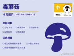 深圳市疾病風(fēng)險預(yù)報：毒蘑菇 ()