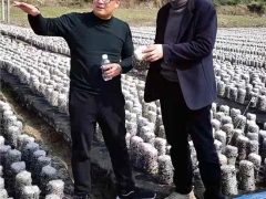 湖北省遠安縣食用菌協(xié)會赴房縣考察學(xué)習(xí)食用菌產(chǎn)業(yè)發(fā)展 ()