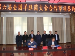 易菇網(wǎng)與舟曲縣就2021第六屆全國羊肚菌大會有關(guān)事項簽訂合作協(xié)議 ()