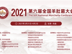【接站方案】2021第六屆全國羊肚菌大會 ()
