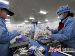 甘州食用菌產(chǎn)業(yè)定了一個“十四五”小目標(biāo) ()