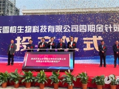 山東雪榕：總投資3億元金針菇項(xiàng)目投產(chǎn) 日產(chǎn)鮮菇400噸！ ()