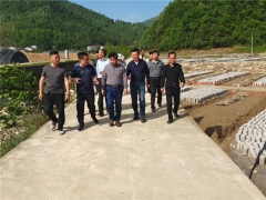 湖北省農業(yè)科學院領導調研指導房縣天禾食用菌專業(yè)合作社黑木耳種植情況 ()