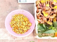 云南：文山又有兩種野生菌上市！價(jià)格驚人！ ()