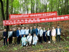 專家助力，貴陽市順海林場岔二巖林下紅托竹蓀種植基地成功開展種植技術(shù)培訓(xùn)會 ()