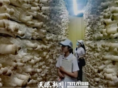畢節(jié)職業(yè)技術(shù)學(xué)院師志愿團(tuán)隊(duì)到威寧開展食用菌技術(shù)培訓(xùn) ()