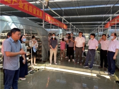 湖北隨縣召開食用菌“515”行動(dòng)現(xiàn)場(chǎng)觀摩培訓(xùn)會(huì) ()