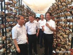 河南農(nóng)業(yè)大學(xué)校長(zhǎng)介曉磊率團(tuán)前往世紀(jì)香食用菌公司調(diào)研并開展校企深度合作 ()