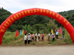 韶關(guān)：投資2000萬雪茸食用菌基地在曲江沙溪鎮(zhèn)動(dòng)工 ()