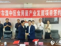 投資5億元！西寧市湟中區(qū)食用菌產(chǎn)業(yè)迎來提檔升級(jí) ()