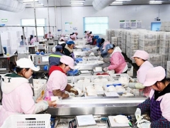 貴州大方：日產(chǎn)量達(dá)70噸，產(chǎn)值達(dá)60余萬元！工廠化種植食用菌助農(nóng)增收 ()