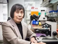 中國科學(xué)院院士、中科院微生物研究所研究員莊文穎：為認(rèn)識真菌付出畢生努力 ()