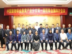 中國(guó)菌物學(xué)會(huì)桑黃產(chǎn)業(yè)分會(huì)第一次理事會(huì)第四次會(huì)議在杭州舉行 ()