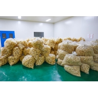 無(wú)公害銀耳常年供應(yīng)，干銀耳，銀耳鮮燉，銀耳花，雪菲寵耳