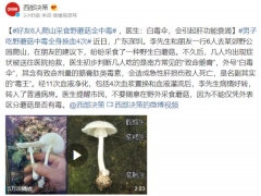 千萬別亂吃！好友6人爬山采食野蘑菇全中毒 ()