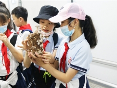 助力中小學勞動教育——推進食用菌科普工作從娃娃抓起 ()