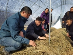華中農(nóng)業(yè)大學(xué)邊銀丙教授赴仙桃、宜昌等地開展“鄉(xiāng)村振興荊楚行”工作 ()