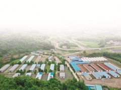 重慶黔江：桑枝育出生態(tài)菌 撐開增收致富傘 ()