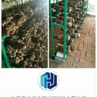 外行如何判斷食用菌網格架質量，三點建議拿走不謝